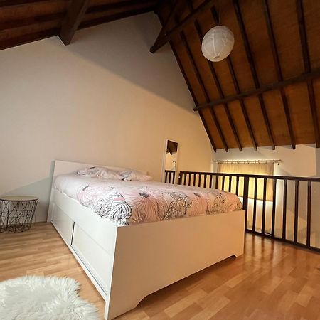 Le Mortier D'Or Duplex Hyper Centre Ville 트루아 외부 사진