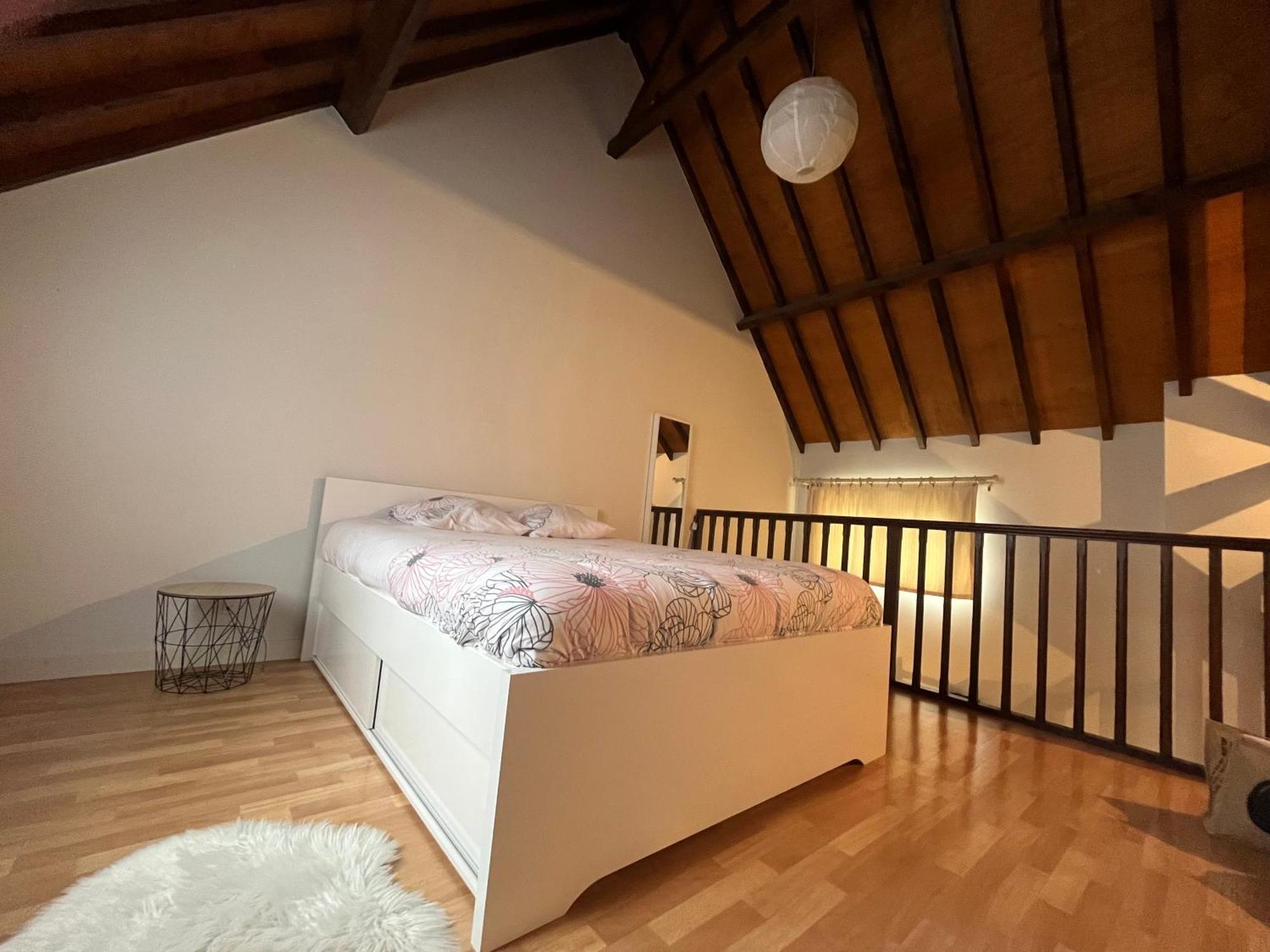 Le Mortier D'Or Duplex Hyper Centre Ville 트루아 외부 사진